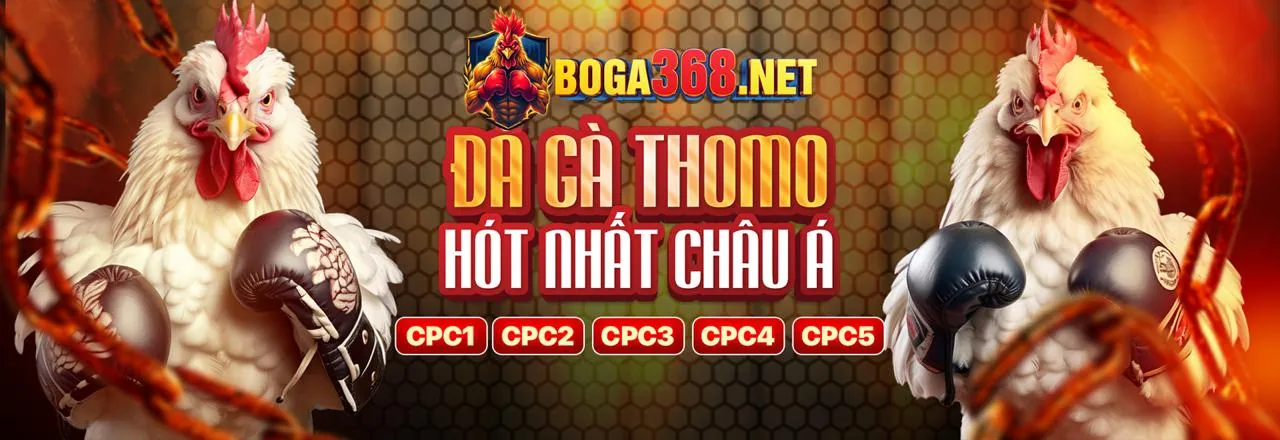 Hình ảnh đối tác vm88 code thể hiện sự hợp tác và thành công